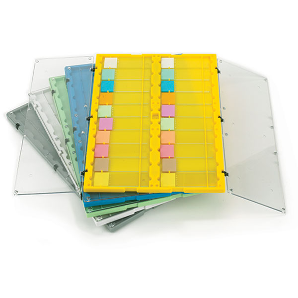 Globe Scientific Slide File Folder with Clear Hinged Lids, 20-Place, HIPS/SAN, Green, 12/Unit Image