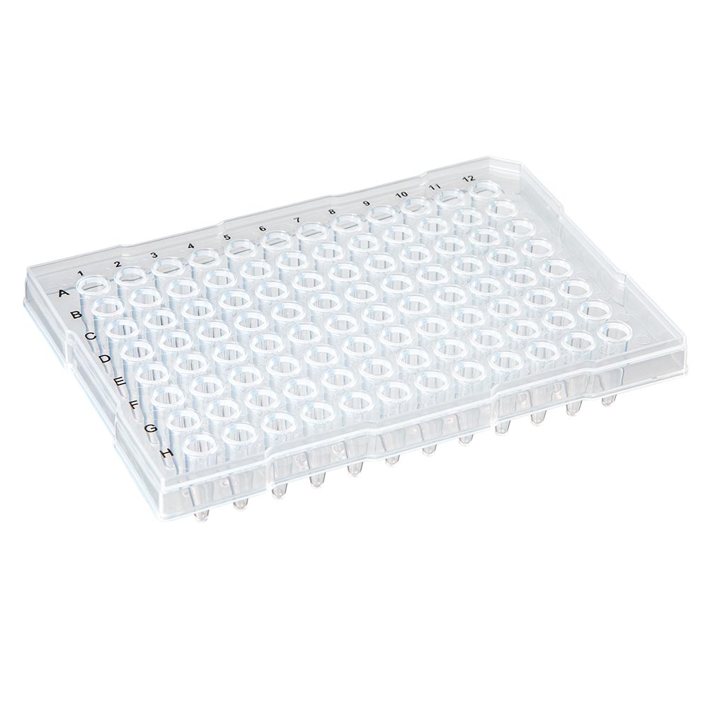 Globe Scientific 0.2mL 96-Well PCR Plate, Half Skirt (ABI-style), Ridged Rim, Clear Image