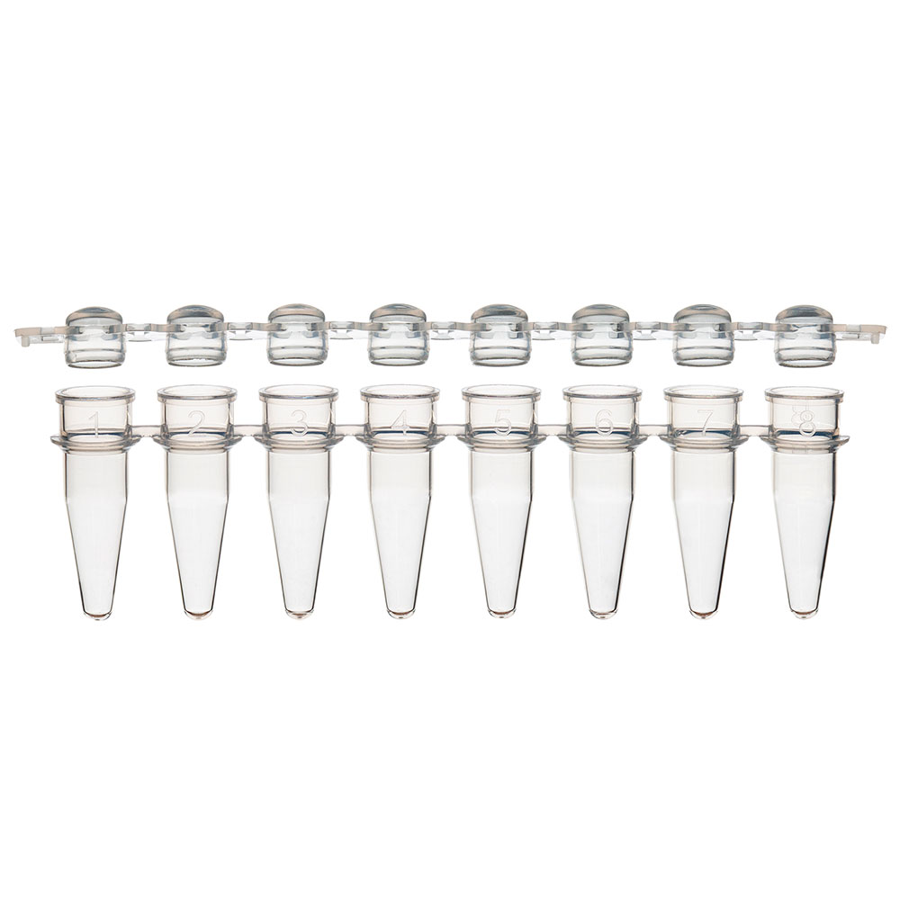 Globe Scientific 0.2mL 8-Strip Tubes, with Separate 8-Strip clear Dome caps, Natural Image