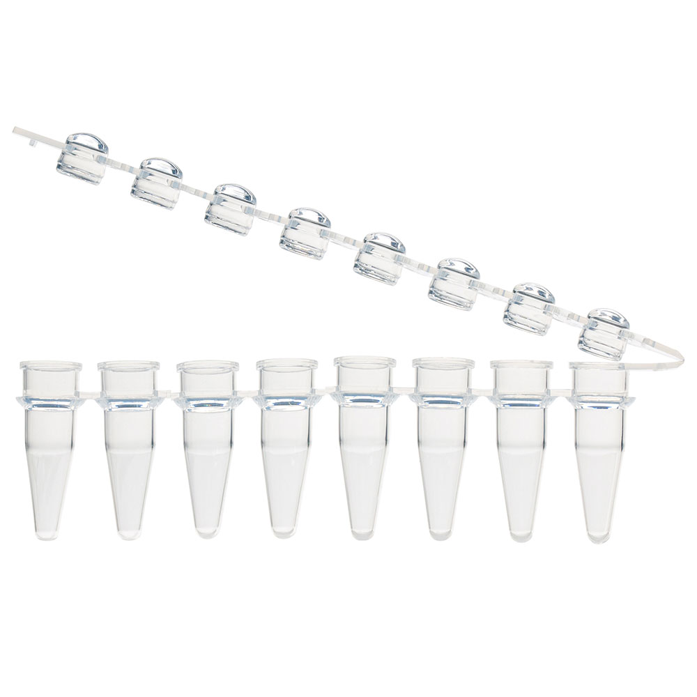 Globe Scientific 0.2mL 8-Strip Tubes, with Hinged Attached 8-Strip clear Dome caps, Natural Image