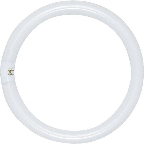 S6503 Satco T9 Circline 4-Pin Fluorescent Tube Light Bulb