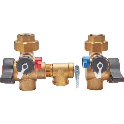 120008 Watts Tankless Relief Valve