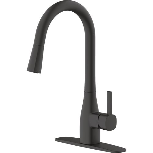 FP4AF316BL-JPA1 Home Impressions Single Handle Pull Down Kitchen Faucet