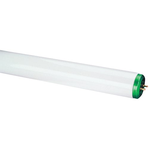 543405 Philips T12 Bi-Pin Fluorescent Tube Light Bulb