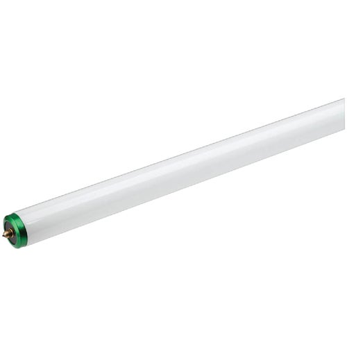 422782 Philips ALTO T12 Single Pin Fluorescent Tube Light Bulb