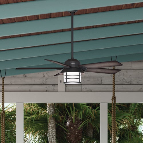 59135 Hunter Key Biscayne 54 In. Outdoor Ceiling Fan