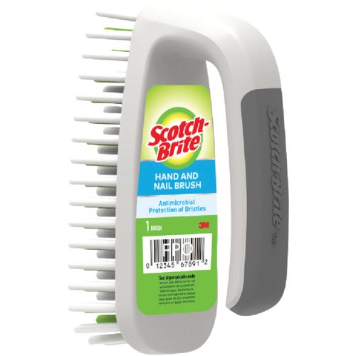 504-6 Scotch-Brite Hand & Nail Brush