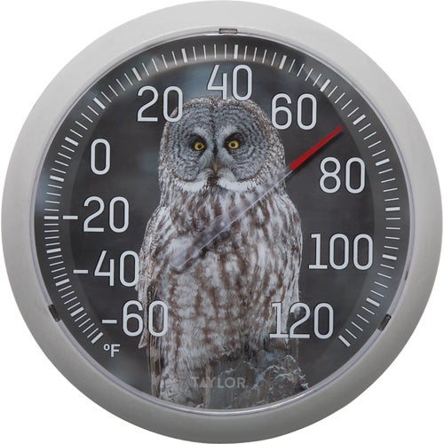 5307061 Taylor Owl Indoor & Outdoor Thermometer