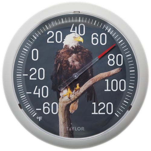 5307093 Taylor Eagle Indoor & Outdoor Thermometer