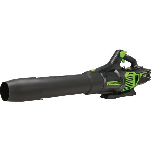 2419602 Greenworks Cordless Blower - Tool Only