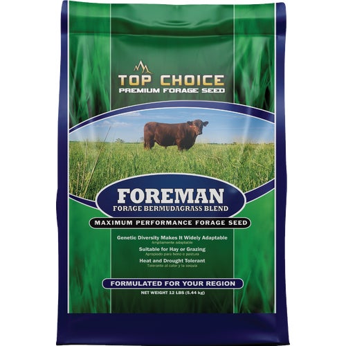 I114185 Mountain View Seeds Foreman Bermudagrass Forage Seed