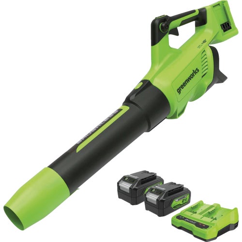 2419302 Greenworks (2) x 24V Cordless Blower Kit