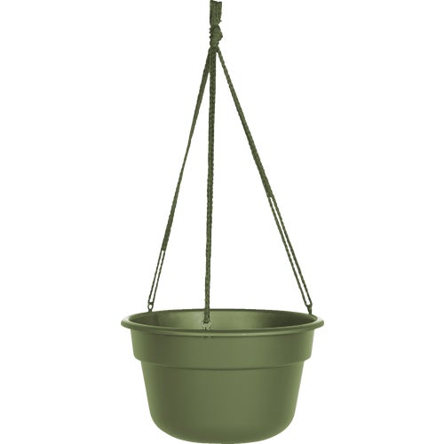 DCHB12-42 Bloem Dura Cotta Hanging Plant Basket