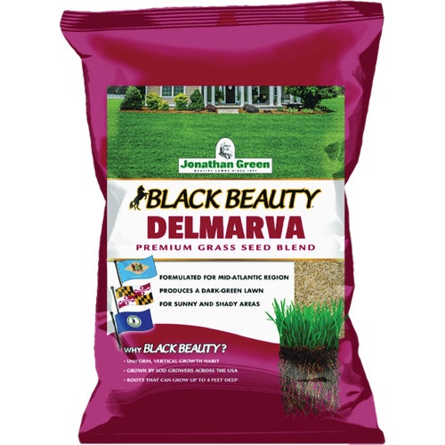 10394 Jonathan Green Black Beauty Delmarva Grass Seed