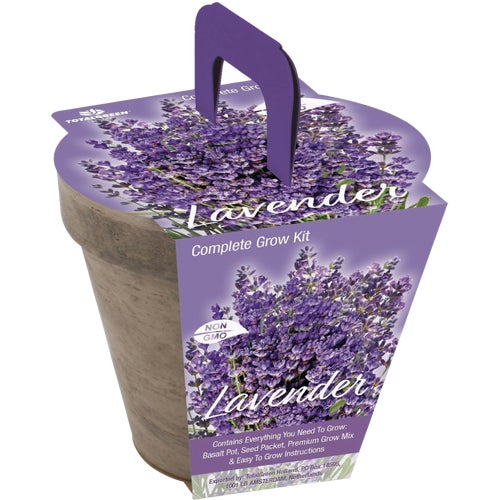 TSC-008 TotalGreen Holland Lavender Grow Kit