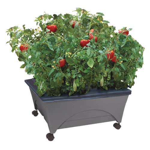 2346D City Pickers Portable Patio Garden Kit