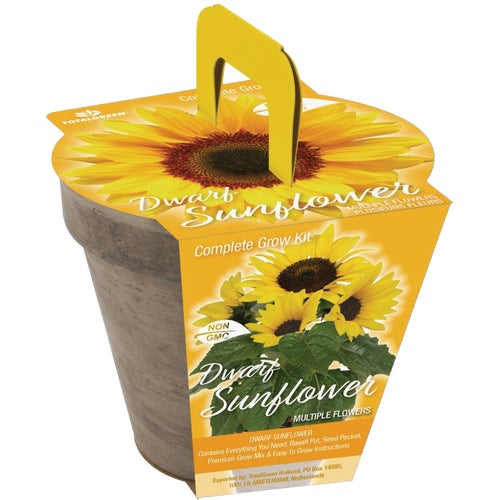 TSC-108 TotalGreen Holland Dwarf Sunflower Grow Kit