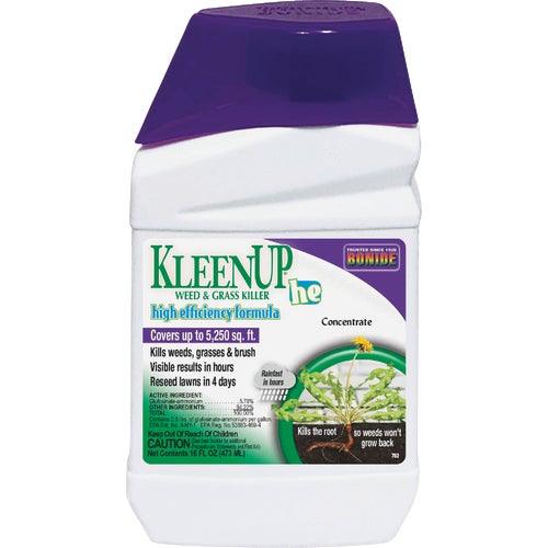 752 Bonide KleenUp High Efficiency Formula Weed & Grass Killer