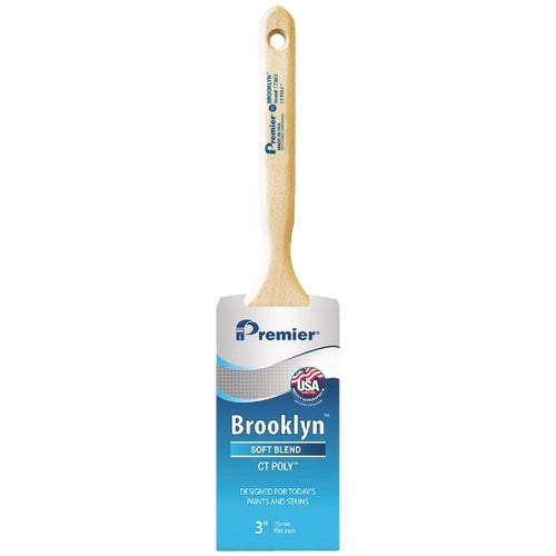 17303 Premier Brooklyn CT Paint Brush