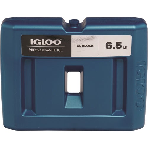 25466 Igloo Cooler Ice Brick