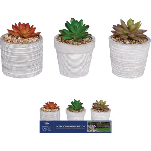 KGD212ABB Alpine Succulent Pot Lawn Ornament