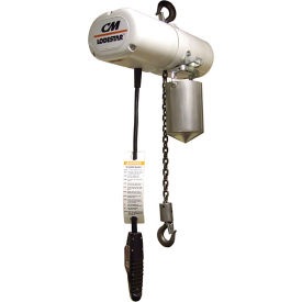 Image of an electric chain hoist