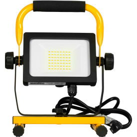 Portable Light Image