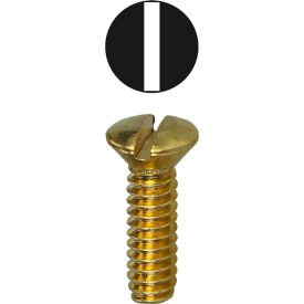 Oval Screw Image